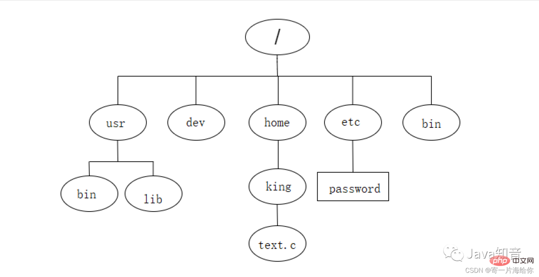 万字详解 Linux 常用指令（值得收藏）