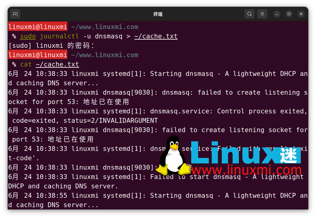 如何在 Linux 上检察和刷新 DNS 缓存